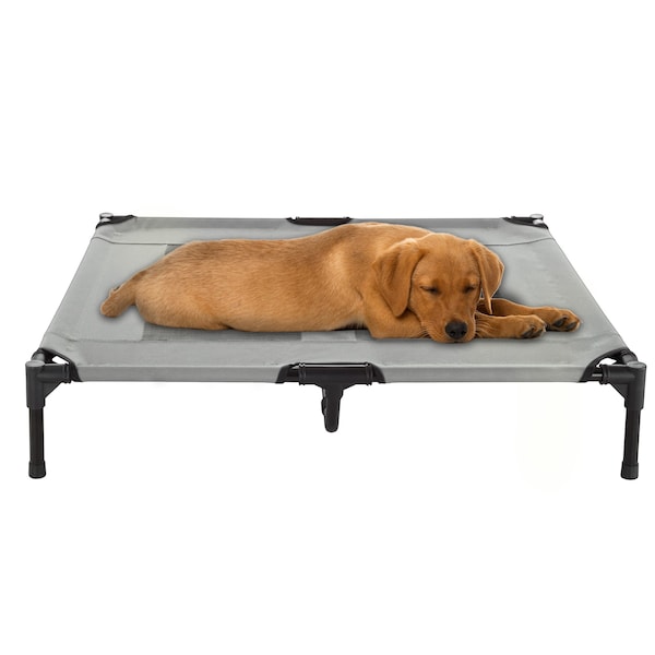 Pet Adobe Elevated Portable Pet Bed Cot-Style 36 inx29.75 inx7 in for Dogs and Small Pets, Indoor/Outdoor 634553AAY - main
